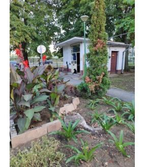 image of dormitory grounds