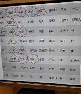 computer screen displaying chinese characters